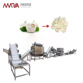 Ošúpaný cesnakový výrobný riadok na spracovanie cesnakového stroja na výrobu stroja na odlupovanie cesnakového stroja